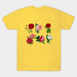 Roses pattern Art T-Shirt